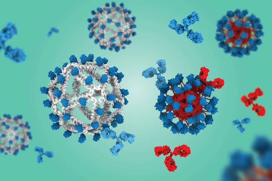 HIV疫苗重大突破，MIT新技术让保护性抗体产量提升8倍