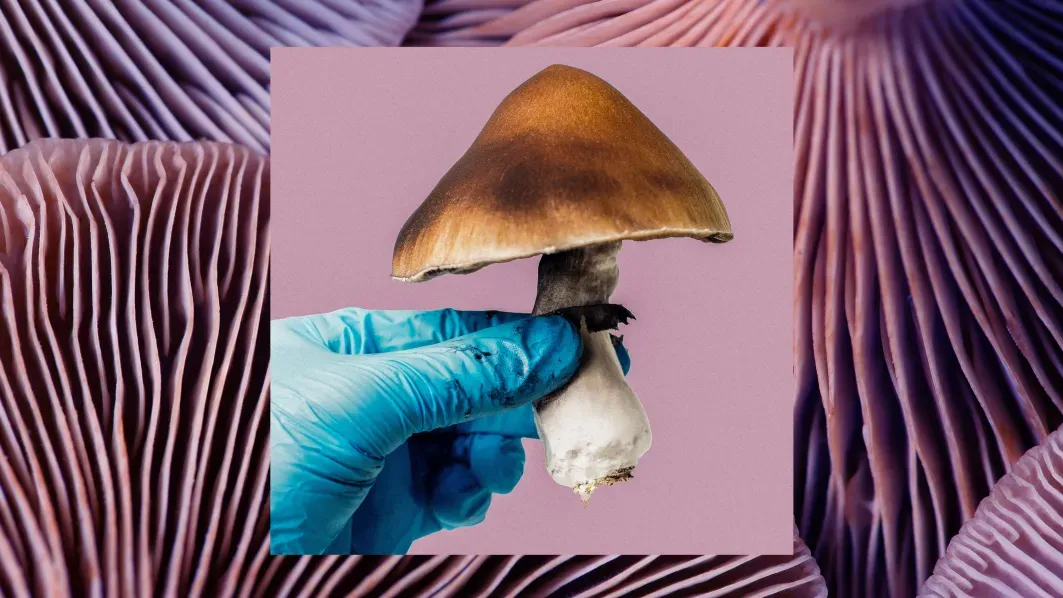 吃菌子治疗抑郁？临床试验的结果泼了一盆冷水