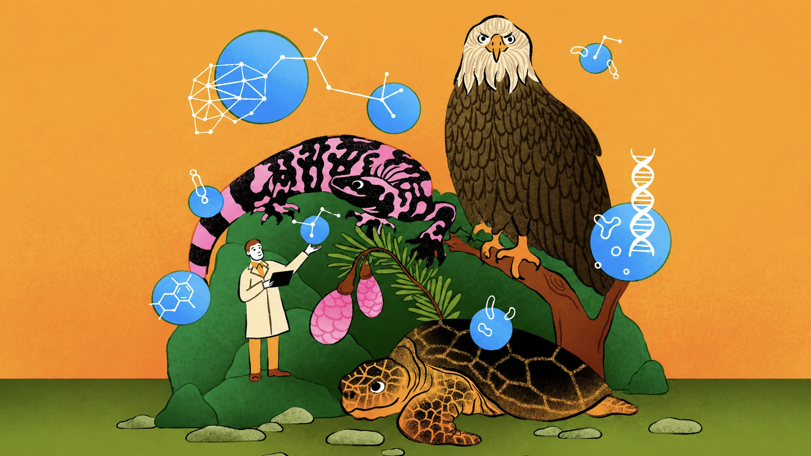 给癌症研发药物的人，如今开始给青蛙、海龟和森林设计新药